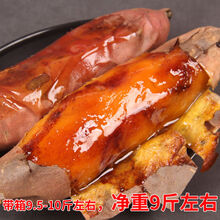 山东农科院烟薯25号 山东新鲜烟薯25号蜜薯超甜糖心红薯红心油农家沙地番山芋烤地瓜 烟薯25【带箱10斤】大果实惠