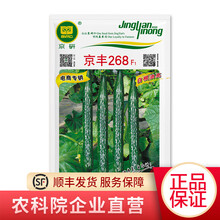 农科院京研黄瓜种子迷你水果黄瓜种子旱黄瓜翡翠黄瓜小黄瓜长黄瓜四季播种阳台园艺盆栽蔬菜种子大全 京研京丰268（1克）