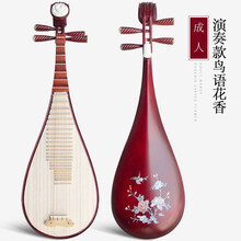 红木琵琶乐器成人儿童初学入门专业考级弹拔琵琶演奏民族乐器琵琶 成人演奏款【鸟语花香】