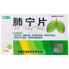 普尔丁 肺宁片 0.55g*30片 万德制药清热祛痰镇咳平喘肺内感染慢性支气管炎急性呼吸道感染 5盒