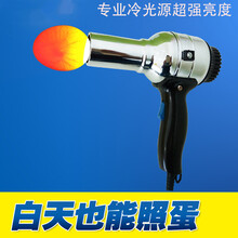西芝 照蛋器孵化机专用led照蛋灯冷光源家用强光照蛋器手电筒充电式 三灯珠专用照蛋器