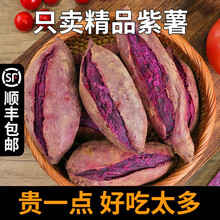 梓乐果 新鲜紫薯板栗红薯地瓜番薯5山芋小香薯蜜薯农家自种沙地10斤 2500g 中果