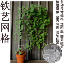 山乌龟爬藤架铁艺网格北欧风月季爬藤网软装藤蔓植物爬墙网子装饰     VIERUODIS 白色120X80cm加粗型2片 中等