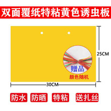 溪沫 双面加厚特粘诱虫蓝板粘虫板黄板果园茶园大棚家用等灭多种小飞虫 60张双面覆纸加厚特粘黄色25x30