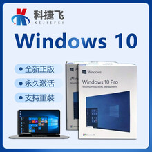 Win10正版windows10家庭版/专业版/企业版WIN10软件windows10软件系统 无票 Win10家庭中文版【优盘发顺丰】