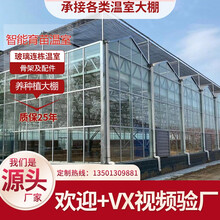 鲸榜智能玻璃育苗科研温室无土栽培生态餐厅鱼菜共生骨架外遮阳养殖种植系统薄膜PC阳光板连联栋体大棚设备 申经理热线13501309881