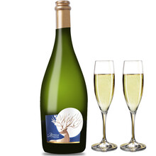 【意大利DOCG级阿斯蒂起泡酒】莫斯卡托Moscato d'Asti甜型气汽泡酒白葡萄酒整箱配香槟杯 单支装（750ml*1支酒+配2香槟杯）