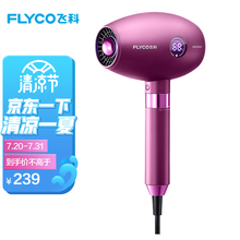 飞科（FLYCO）FH6286电吹风机家用负离子护发大功率静音专业发型师吹风筒 FH6286木槿紫