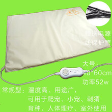 大中小号宠物电热毯防水加厚调恒温爬虫鸟垫板猫狗狗安全电加热垫 无级调温大号40*60cm(常规型)