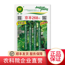 北京农科院京研甜瓜辣椒黄瓜羊角蜜豇豆角籽娃娃菜快菜白菜油菜菠菜籽生菜西瓜南瓜红根韭菜蔬菜种子四季种植 长黄瓜京丰268 1克约30粒