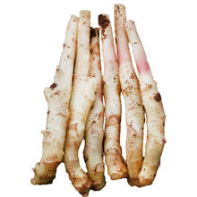 四川生姜仔姜新鲜子姜鲜姜红芽姜小仔姜当季农家现挖 中姜芽4斤