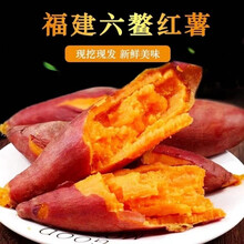 （现挖顺丰）福建六鳌沙地蜜薯 新鲜农家沙地红薯种植红心香甜番薯 中果 5斤