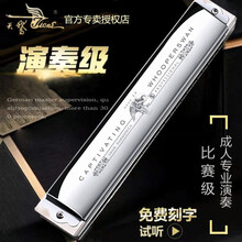 德国进口音簧天鹅24孔复音口琴高级成人专业演奏C调初学者学生儿童自学乐器 【专业演奏级】特级款24孔银色复音C调+三百首曲谱