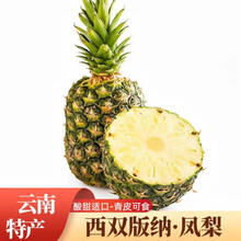 世果达云南西双版纳青蜜凤梨台湾牛奶凤梨20号无眼波萝热带水果整箱 5斤装【青皮白肉/黄肉】