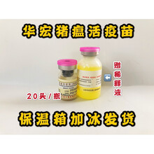 华宏 猪用 猪瘟猪疫苗 猪瘟细胞苗猪药猪用兽药兽用小猪病 5瓶价