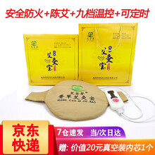 艾宜芳艾灸宝香身艾灸包热敷包护腰暖宫艾宝理疗包宝保暖家用艾灸艾叶艾草包热敷包送爸妈送爷爷奶奶送内芯 豪华版九档调温+定时