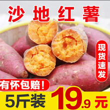 新鲜小红薯沙地红蜜薯红心红薯地瓜番薯山芋毛重 2斤装