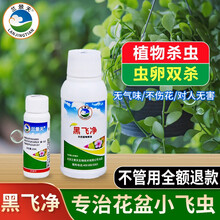 兰景天 花卉杀虫剂 喷雾家用花药 小黑飞蚜虫腻虫白粉虱蚧壳虫介壳虫小飞虫蓟马盆栽绿植蔬菜 植物通用  黑飞净110ml+喷壶【需稀释,根除小黑飞】