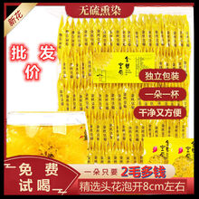 金丝皇菊新花菊花茶大朵一朵一杯独立包装清黄贡菊热茶叶去降特火 50朵独立包装【实惠】