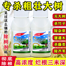 除树烂根剂三氯吡氧乙酸杀树神器快速杀死树的药除树剂杀大树神药 100g