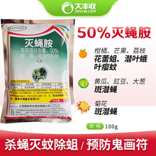 大丰收  瑞邦50%灭蝇胺 潜叶蛾鬼画符斑潜蛾杀卵杀虫逐蝇瓜果蔬菜杀虫剂 100g