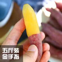 临安天目山小香薯地瓜红薯新鲜番薯金手指黄心代餐宝宝辅食 5斤装金手指