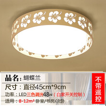 卧室灯LED吸顶灯具客厅圆形简约现代餐厅创意个性房间过道阳台灯 蝴蝶兰45cm三色48w --都为白框