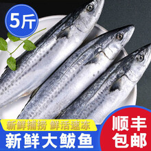 【精品冷运】大鲅鱼马鲛鱼新鲜冷冻海鱼鲅鱼馅饺子海鲜水产 康如四云 整条鲅鱼5斤(约3条)
