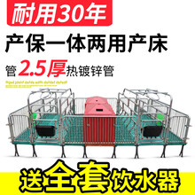 耐尔尼母猪定位栏猪用限位栏育肥猪产床 5位10位带食槽漏粪板 养猪设备 产保一体产床2.5厚3.6*2.2米【升级保温箱】