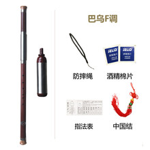 杉贝 SHANBEI 巴乌乐器横吹竖吹小学生成人儿童初学者入门抖音同款 巴乌两吹F调+四大(无盒子)
