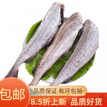 去头鳕鱼新鲜冷冻无头鱼狭鳕鱼明太鱼海鲜水产深海鳕鱼大棒鱼柴鱼 一斤装【试吃装】