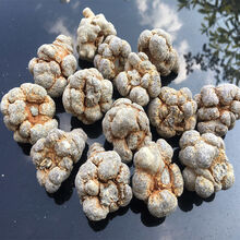 康中尊 云南文山三七20头30头40头18春田七500g圆头可代磨粉片狮子头 【】20头20个无剪口500克