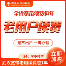 中国电信（CHINA TELECOM） 【宽带续费】武汉电信宽带20\\50\\100M宽带缴费办理  1999元宽带续费（备注宽带账号和证件号及姓名）