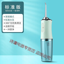 冲牙器水牙线牙齿清洁器智能口腔牙结石洗牙神器便携式家用 绿色 标准水压1喷嘴+1种模式