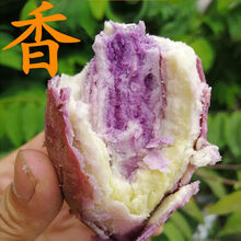 新鲜番薯农家沙地冰淇淋番薯一点红紫心红薯皮薄肉厚香甜粉糯 5斤中果