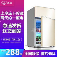 冰熊（bingxiong）小双门冰箱小型家用迷你电冰箱节能宿舍冷藏冷冻BCD-42S128全国联保 BCD-35S118-35L金