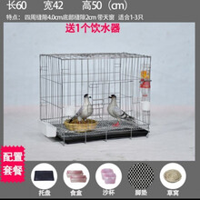 加粗鸽子笼子鸽子用品用具鸽子笼大号鸡笼家用鸽子养殖笼子 粗60*42*50粪盘食具脚垫2草窝