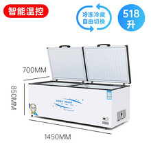 商用冷柜冰柜超大容量卧式节能冷冻冷藏单温冻肉家用冷柜 518单温豪华款