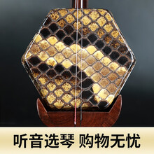 正音堂五星旧料老红木二胡专业演奏明清收藏百年老红木二胡乐器成人 五星老红木二胡+基础配件