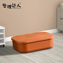 整理达人 日式简约收纳盒 杂物整理盒子多功储物箱内衣收纳箱化妆品整理盒 暮色橙扁形中号