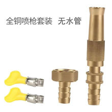 适用于家用直喷水枪 全铜高压水枪喷头 洗车冲车喷嘴头 4/6分1寸出水嘴 全铜直喷枪+宝塔头(带2个卡箍)