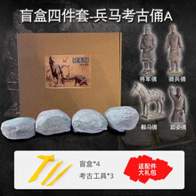 宝石考古化石 儿童DIY手工挖掘兵马考古俑恐龙套装挖宝藏抖音盲盒玩具 仿石盲盒-兵马考古俑A（将军/骑兵/鞍马/跽姿）