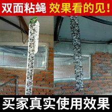 空消粘蝇彩带粘蝇彩条板粘蝇条贴纸粘蝇子卷灭蝇药苍蝇纸苍蝇药苍蝇贴 6条