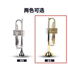 SUZUKIMUSIQUE铃木小号 降B调小号乐器 镀银小号 初学演奏考级 YTR-4335 金色 68#黄铜泳金