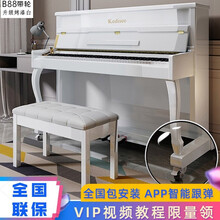 科蒂思 电钢琴88键重锤烤漆成人专业数码钢琴立式智能考级用琴幼师专用自学电子钢琴家用初学者电钢 升级款B-88-带万向滚轮-烤漆白（配琴凳）