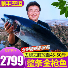渔人百味 金枪鱼新鲜金枪生鲜鱼整条16-100斤南方蓝旗大目刺身去鳃去脏海鲜冷冻黄旗吞拿鱼健康轻食 金枪鱼整条45-50斤