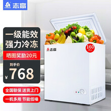 志高（CHIGO）小冰柜家用冷冻小型迷你冷柜冷藏节能省电母乳电冰柜 BD/BC-160A228【省电款 一级能耗】