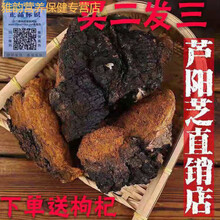 伟博芦阳芝大粒 西藏野生芦阳芝 官网芦阳芝 (买2送1) 矷山芦阳芝 30克买二送一赠送枸杞