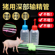 猪博士 猪用输精管一次性深部输精管母猪猪人工授精输精瓶 100套养猪设备 带锁扣小头管+80ML瓶（100套）