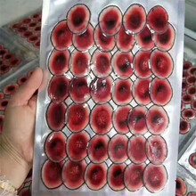 【现切现卖】梅花鹿鹿茸片鲜鹿茸片泡酒料泡酒中药材含血鹿茸片 鲜鹿茸片蜡圈100g